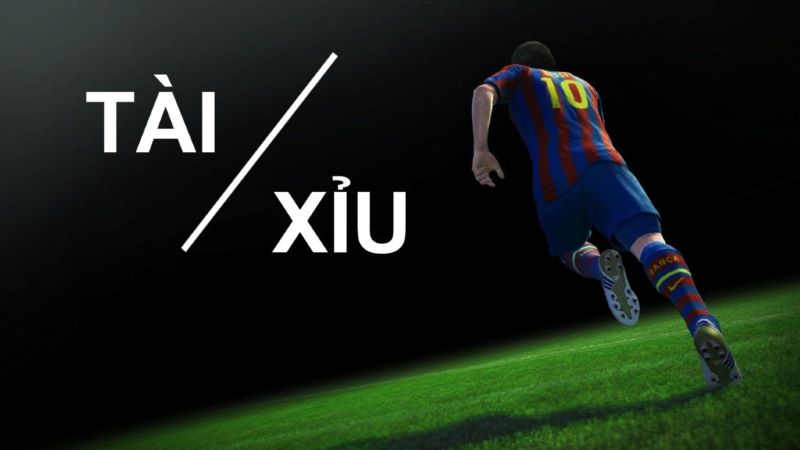 Tài xỉu 1/2 là gì? Cách chơi tài xỉu 1/2 ăn đậm cho tân thủ 3 Tài xỉu 1/2 là gì